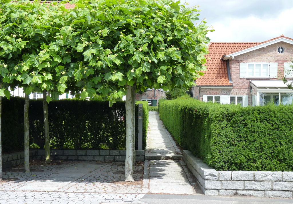 Foto: BGL. - Die Idee einer grünen, lebendigen Grenze liegt lange zurück. Mittlerweile sind Hecken zu festen, gestalterischen Elementen für das eigene Grün geworden, mit denen das Grundstück einen schönen Rahmen erhält.